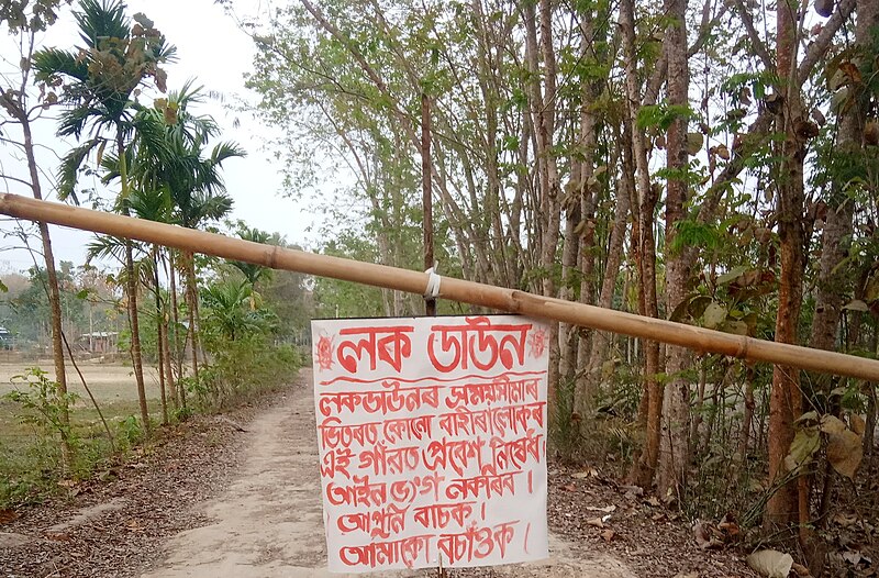 File:View of a Village of Assam during lock down.jpg